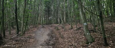 Jezioro Otomińskie, brzeg południowy