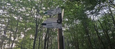 Skrzyżowanie szlaków zielony / żółty / czarny