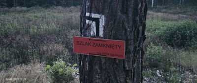 Skrzyżowanie szlaków zielony / żółty / czarny ↔ Rozejście szlaków [Uwaga, w okolicy Obwodnicy Metropolii Trójmiejskiej szlak jest zamknięty. Zalecam w tym miejscu iść od razu obejściem w kierunku Sulmina (tym bardziej, że nie ma mostu na Radunii w Widlinie).]