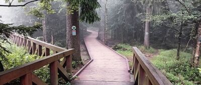 Błędne Skały, parking