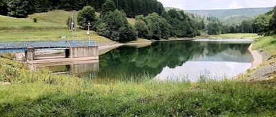 Darnków ↔ Żyznów