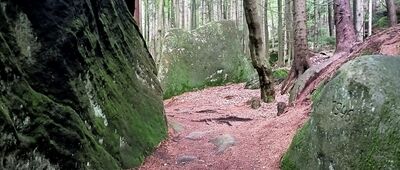 U Zeleného hájku ↔ Rozejście szlaków