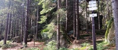 Božanovský Špičák, vyhlídkové místo