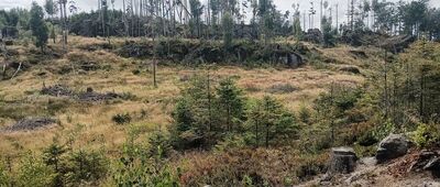 Soví hrádek ↔ Junácká vyhlídka, odbočka