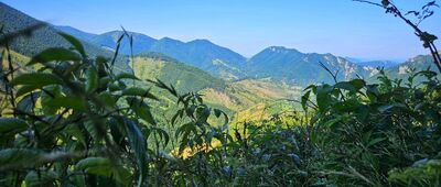 Štefanová ↔ Medziholie