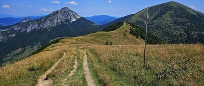 Poludňový grúň ↔ Chrbát Stohu