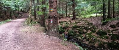 U Zabitého ↔ U Zabitého, rozc.