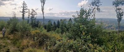 Amerika ↔ Jiráskova chata, rozc.