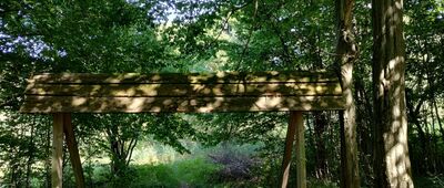 Zawadka Rymanowska ↔ Piotruś