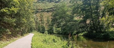 Ostrovy, osada ↔ Králíčkův smrk