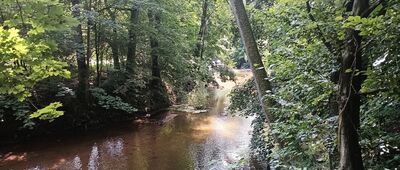 Bražec ↔ Ostrovy, osada