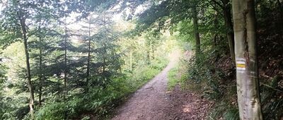 Drtinovo, náměstí ↔ Bražec