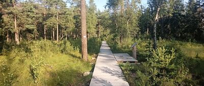 Niknąca Łąka ↔ Niknąca Łąka