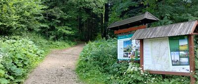 Iwonicz-Zdrój, orlik [Kierunek Przymiarki]