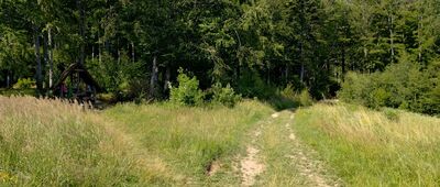 Rozejście szlaków pod Glorietą