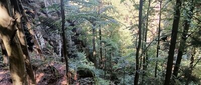 Pusta Ścieżka, parking ↔ Rozdroże nad Skalnymi Wrotami
