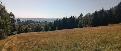 Jakubowice ↔ Jakubowice, granica parku narodowego