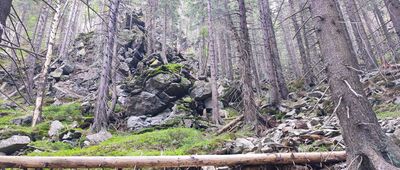 Divoký důl, vyhlídka