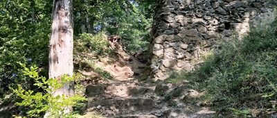 Przełęcz Kozia ↔ Wałbrzych, Podgórze