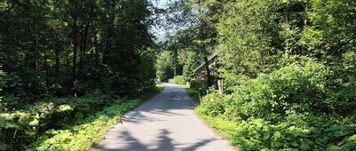 Kouty nad Desnou, most, bus ↔ Pod Hřbety