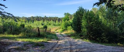 Chruślańska Droga ↔ Rezerwat Natolin