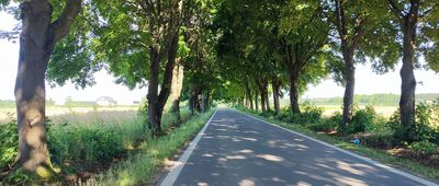 Rezerwat Natolin ↔ Natalin