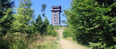 Zawoja, Podryżowane ↔ Pod Mosornym Groniem [Wieża widokowa na Mosornym Groniu]