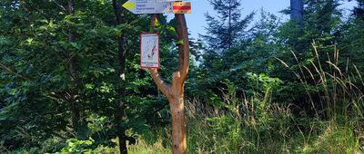 Pod Mosornym Groniem