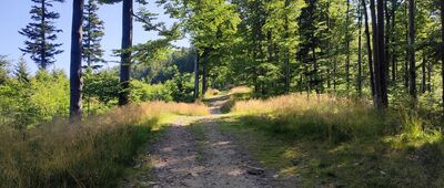 Pod Mosornym Groniem ↔ Hala Śmietanowa