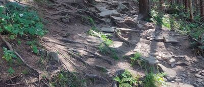 Hala Śmietanowa ↔ Cyl Hali Śmietanowej