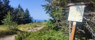 Cyl Hali Śmietanowej