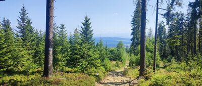 Przełęcz Zubrzycka ↔ Polica