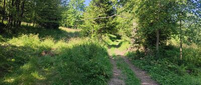 Przełęcz Zubrzycka ↔ Przełęcz nad Wąwozem