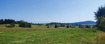 Zubrzyca Górna ↔ Przełęcz nad Wąwozem