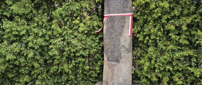 Otwock, ul. Kościuszki ↔ Otwock, ul. Kopernika