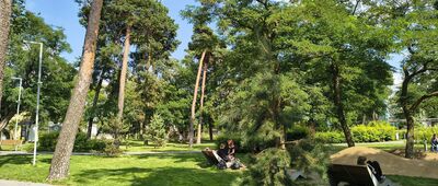 Otwock, Leśny Park Wiejska ↔ Otwock, Skwer VII Pułku Ułanów