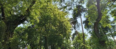 Otwock, Skwer VII Pułku Ułanów