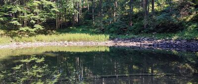 Mokry Stawek [Mokry Stawek]