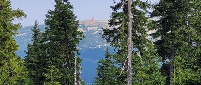 Svinské louže ↔ Medvědín