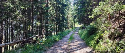 Salatínska dolina, lanovka ↔ Spálený žľab