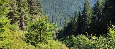 Spálený žľab ↔ Pod Spálenou