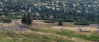 Źródła Łaby ↔ Labská bouda