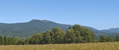 Wetlina, Stare Sioło ↔ Jawornik