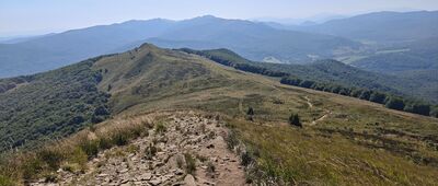 Połonina Caryńska, skrzyżowanie szlaków ↔ Rzeczyca