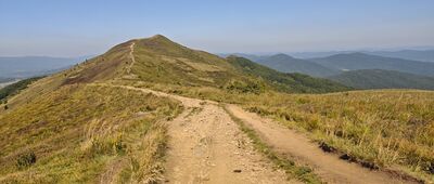 Połonina Caryńska ↔ Połonina Caryńska, skrzyżowanie szlaków