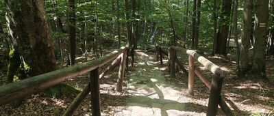 Nieistniejąca cerkiew ↔ Połonina Caryńska