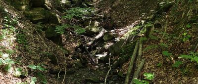 Nieistniejąca cerkiew ↔ Połonina Caryńska