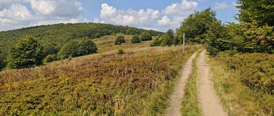 Dział ↔ Mała Rawka