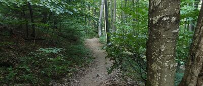 Wetlina, Moczarne ↔ Nad Wetliną