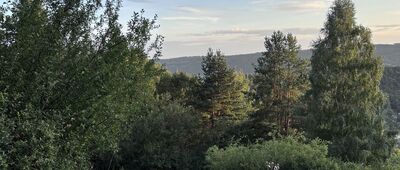 Kamienna Laworta, wyciąg ↔ Ustrzyki Dolne, ul. Witolda Gombrowicza [W połowie drogi]